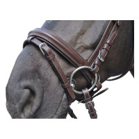 Bridão Hickstead Flags & Cup