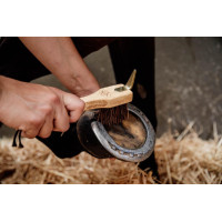 Limpador de cascos Kentucky Castanho