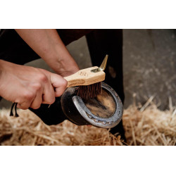 Limpador de cascos Kentucky Limpador de cascos Kentucky