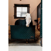 Porta de box Kentucky Preto