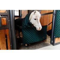 Porta de box Kentucky Preto