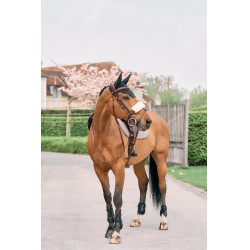 Capa de focinheira em lã Kentucky Natural Castanho Capa de focinheira em lã Kentucky Natural Castanho