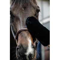 Luva de escovagem de carneiro Kentucky Preto