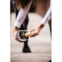 Pequena limpadora de casco Kentucky Castanho