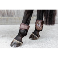 Protetor de boleto para cavalos jovens Kentucky Castanho