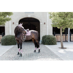 Protetor de boleto para cavalos jovens em lã vegana Kentucky Rosa velho Protetor de boleto para cavalos jovens em lã vegana Kentucky Rosa velho