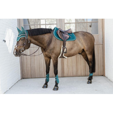 Protetor de boleto para cavalos jovens Velvet Kentucky Protetor de boleto para cavalos jovens Velvet Kentucky