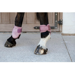 Protetor de boleto para cavalos jovens Velvet Kentucky Rosa velho