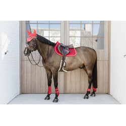 Protetor de boleto para cavalos jovens Velvet Kentucky Vermelho