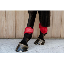 Protetor de boleto para cavalos jovens Velvet Kentucky Vermelho