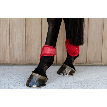 Protetor de boleto para cavalos jovens Velvet Kentucky Protetor de boleto para cavalos jovens Velvet Kentucky