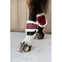 Protetor de boleto para cavalos jovens Velvet lã vegana Kentucky Bordéus Bordô Protetor de boleto para cavalos jovens Velvet lã vegana Kentucky Bordéus Bordô