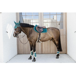 Protetor de boleto para cavalos jovens Velvet lã vegana Kentucky Esmeralda Verde Protetor de boleto para cavalos jovens Velvet lã vegana Kentucky Esmeralda Verde