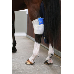 Meia Tendon Grip Kentucky Meia Tendon Grip Kentucky