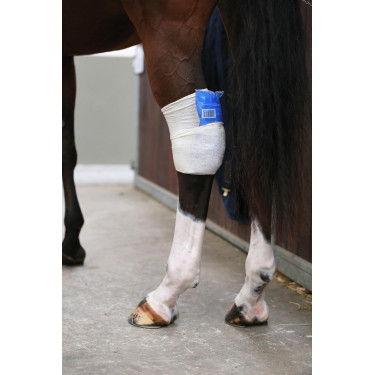 Meia Tendon Grip Kentucky Meia Tendon Grip Kentucky