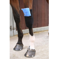 Meia Tendon Grip Kentucky Meia Tendon Grip Kentucky