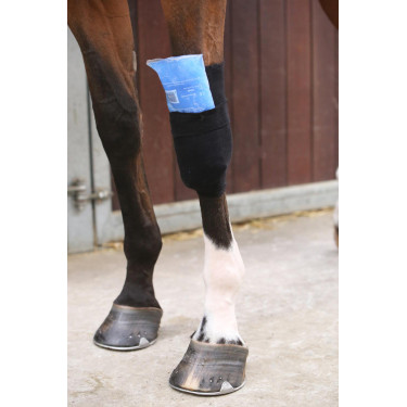 Meia Tendon Grip Kentucky Meia Tendon Grip Kentucky