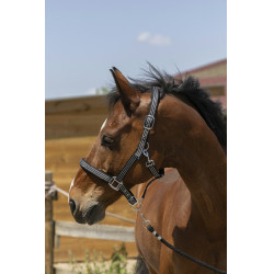 Cabresto Norton Zari Preto Cabresto Norton Zari Preto