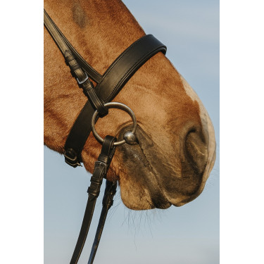 Bridão Riding World Cavesseira larga Bridão Riding World Cavesseira larga