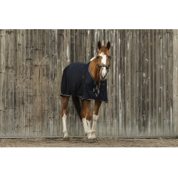 Camisa Equithème Micro mesh Camisa Equithème Micro mesh