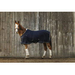 Camisa Equithème Micro mesh Camisa Equithème Micro mesh