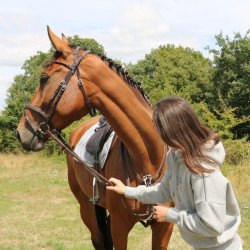 Sweatshirt Pénélope Chilly Cinzento Sweatshirt Pénélope Chilly Cinzento
