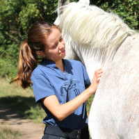Polo Iliana Penélope Azul / cinza Polo Iliana Penélope Azul / cinza