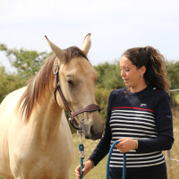 Camisola Pénélope x Saint James Maelle Marinho / cru / vermelho Motivos Camisola Pénélope x Saint James Maelle Marinho / cru / vermelho Motivos