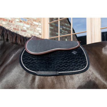 Amortecedor Absorb Kentucky Preto / castanho