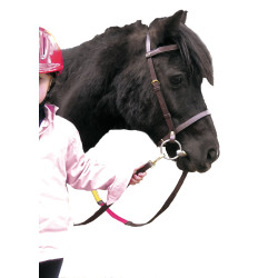 Bridão Educativo Canter Shetland Bridão Educativo Canter Shetland