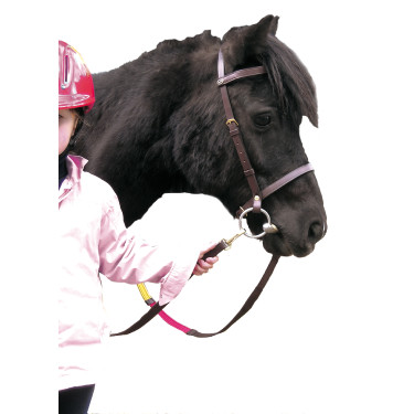 Bridão Educativo Canter Shetland Bridão Educativo Canter Shetland