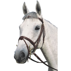 Bridão plano duplo Canter Bridão plano duplo Canter