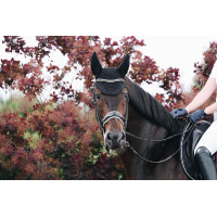 Boné Wellington Sparkling Kentucky Preto