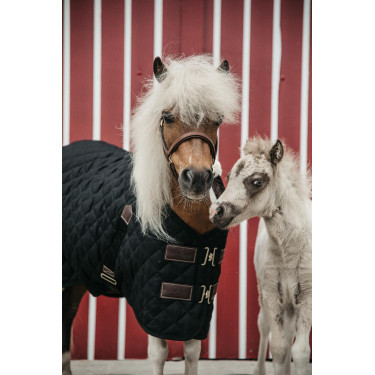 Cobertura de estábulo Kentucky Preto Cobertura de estábulo Kentucky Preto