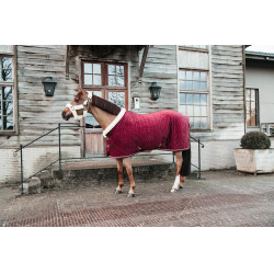 Capa de apresentação Velvet Kentucky Bordéus Bordô Capa de apresentação Velvet Kentucky Bordéus Bordô