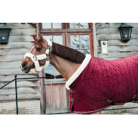 Capa de apresentação Velvet Kentucky Marinho Azul-marinho Capa de apresentação Velvet Kentucky Marinho Azul-marinho