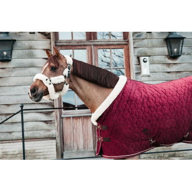 Capa de apresentação Velvet Kentucky Bordéus Bordô Capa de apresentação Velvet Kentucky Bordéus Bordô