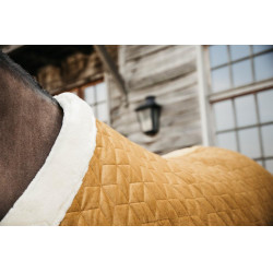 Capa de apresentação Velvet Kentucky Capa de apresentação Velvet Kentucky