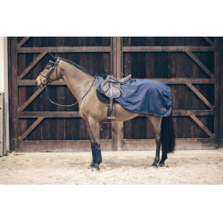 Cobre-rins All Weather Kentucky