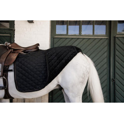 Cobre-rins Quadrado Kentucky Preto Cobre-rins Quadrado Kentucky Preto