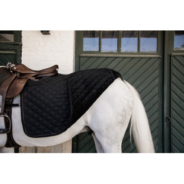 Cobre-rins Quadrado Kentucky Preto Cobre-rins Quadrado Kentucky Preto