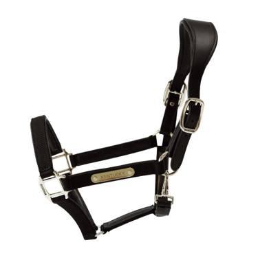 Caveção Anatômico de Nylon Kentucky Preto