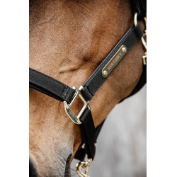 Caveção Anatômico de Nylon Kentucky Preto