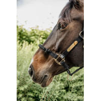 Cabresto de controle Kentucky Preto