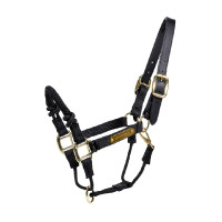 Cabresto de controle Kentucky Preto
