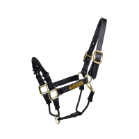 Cabresto de controle Kentucky Preto Cabresto de controle Kentucky Preto
