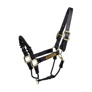 Cabresto de controle Kentucky Preto