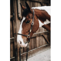 Cabeçada de limpeza em couro Kentucky Castanho