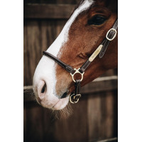 Cabeçada de limpeza em couro Kentucky Castanho