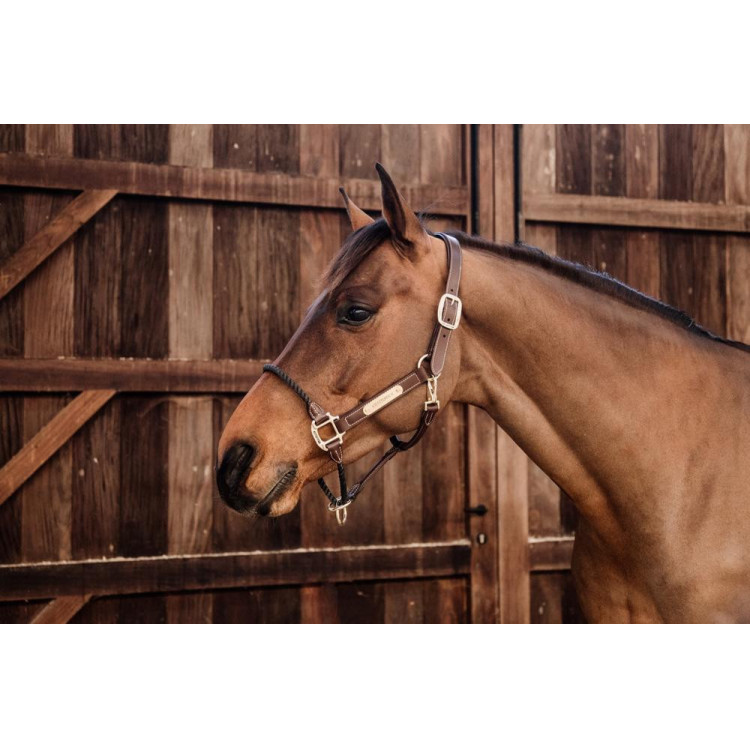 Cabezada Rope em couro Kentucky